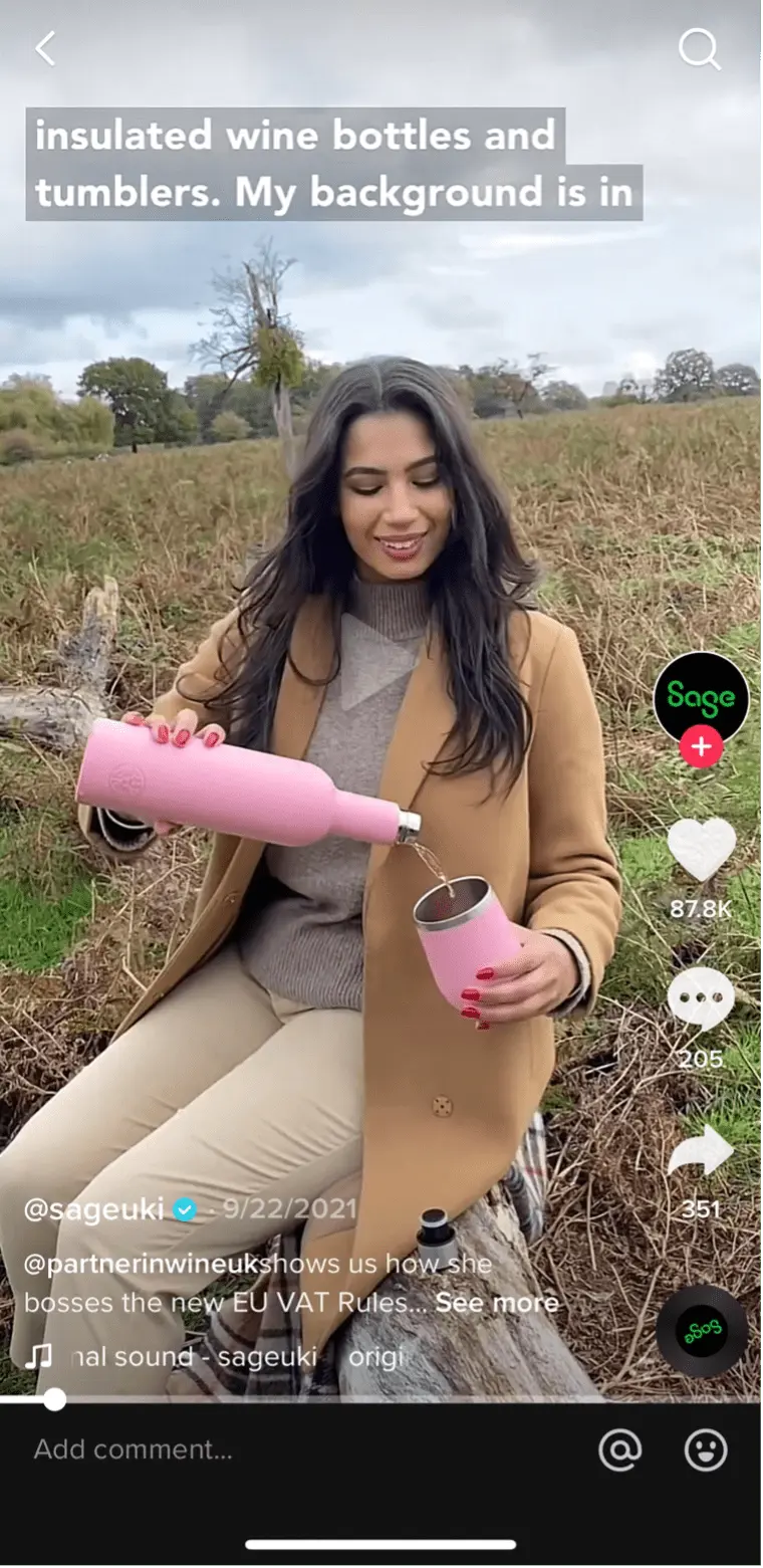 TikTok B2B marketing